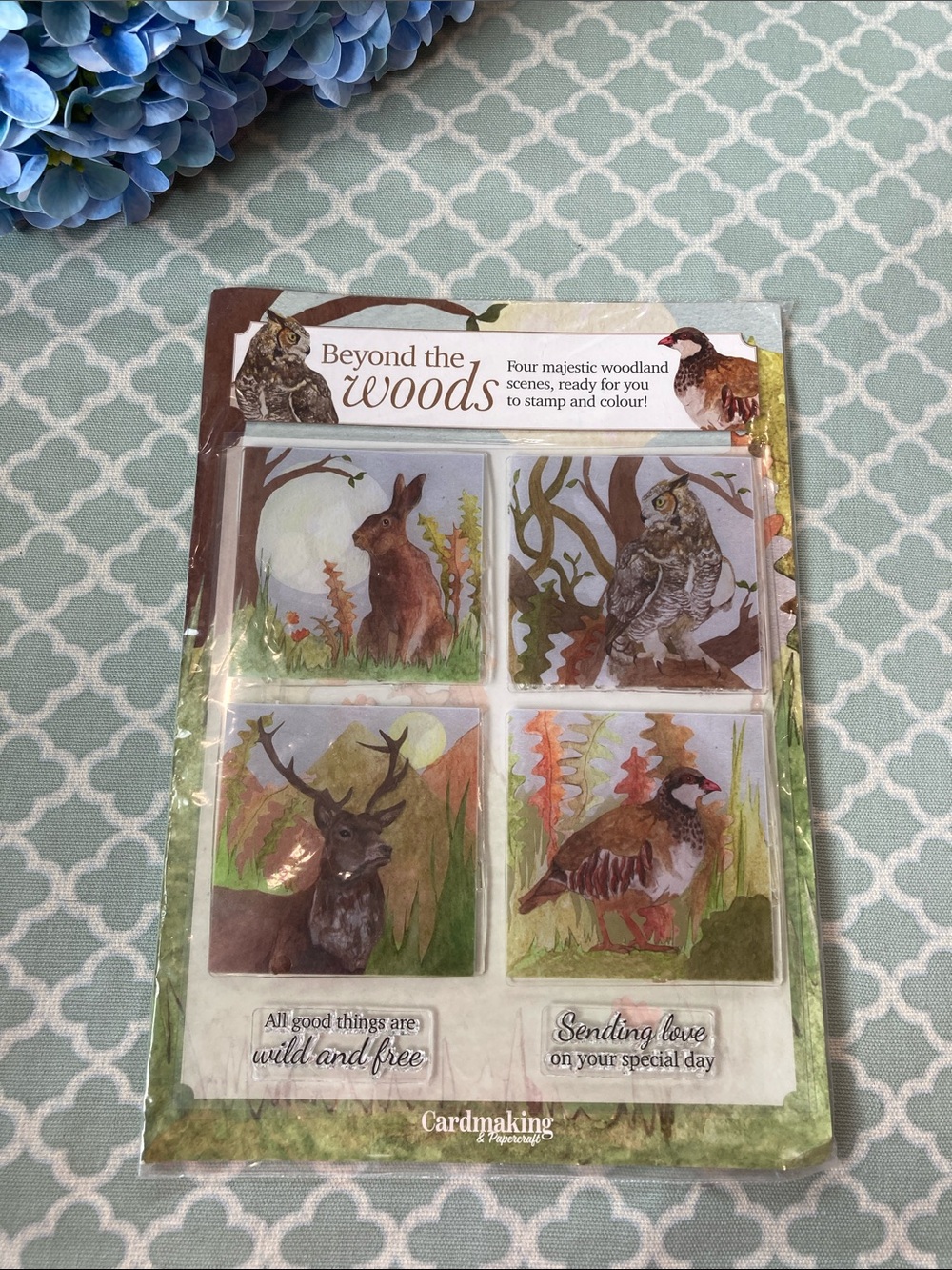 Cardmaking and Papercraft Beyond the Woods Stamps